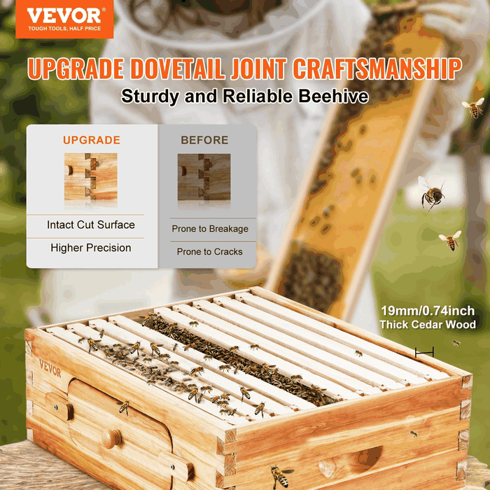 Beehive, Cedar, Medium Box, Starter Kit animation