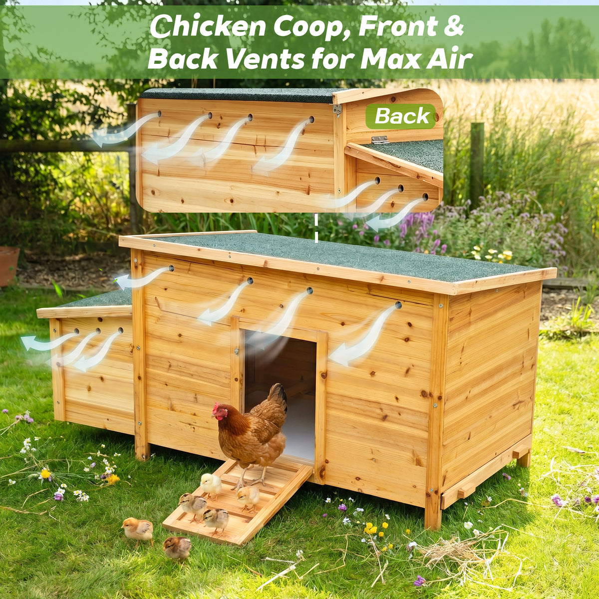 Chicken Coop, Natural Wood, Solid Wood
