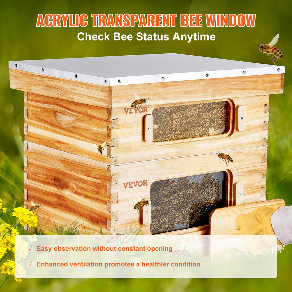 Complete Bee Hive, 2 Box, 20 Frame