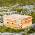 Beehive, Cedar, Deep Box, Starter Kit