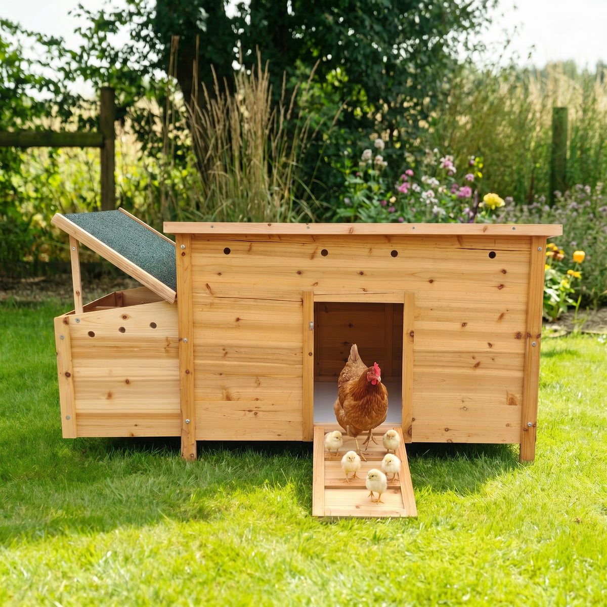 Chicken Coop, Natural Wood, Solid Wood
